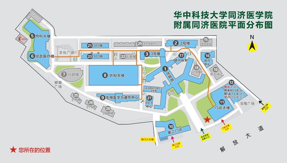 同济医院平面图